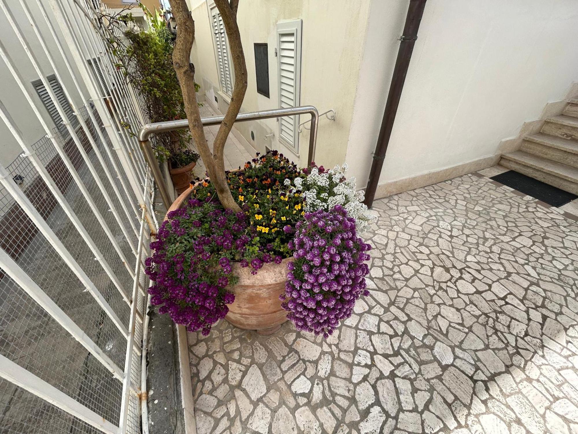 ヴァダLa Casa Di Rosi Al Mareアパートメント エクステリア 写真